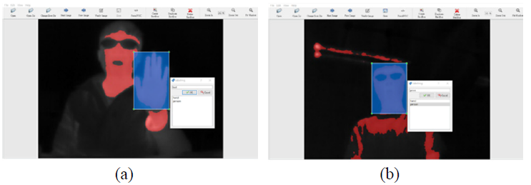 图4. 物体标注示例:(a) 手部 和 (b) 人物